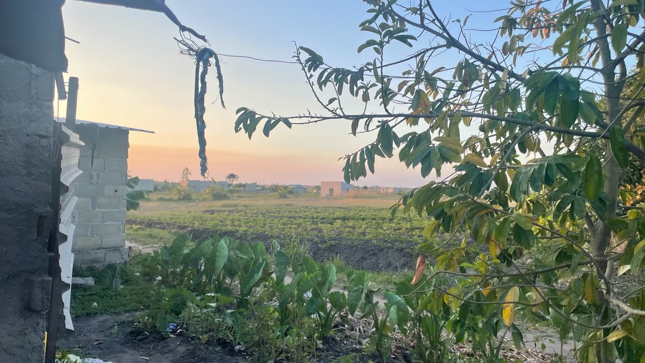 Entardecer sobre os campos próximos à casa do Agnaldo